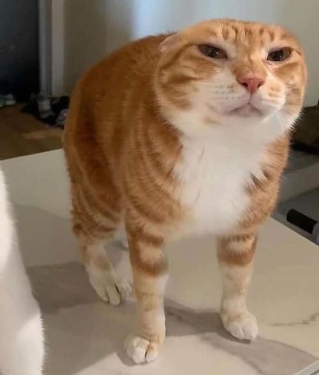 1750372874471.jpeg