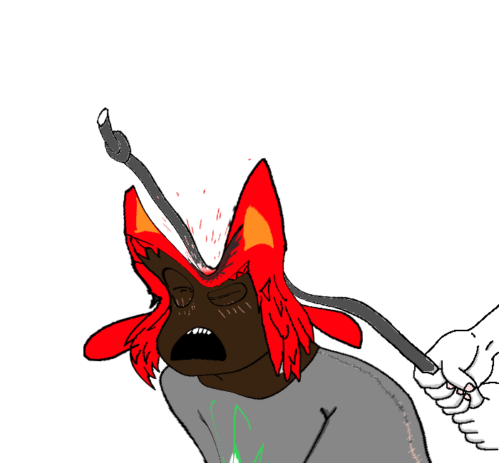 19553.png