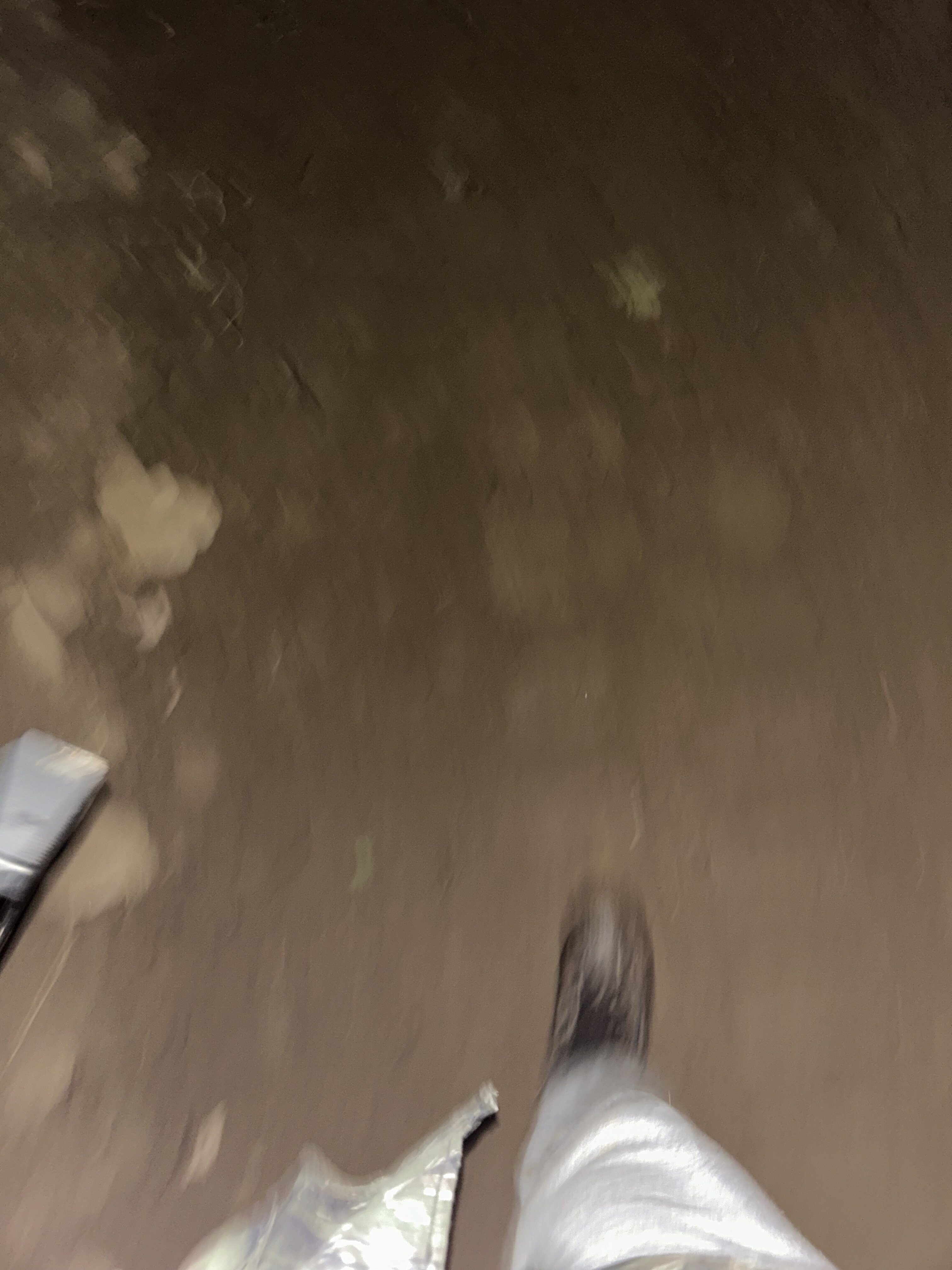 IMG_2318.jpeg