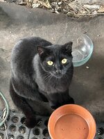 IMG_7332.jpeg