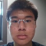 ricecel.jpeg
