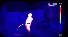 thermal-fart-peeing-2232773502.gif