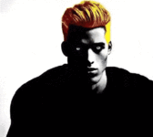 1731963458254s.gif