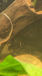 20250615_145134.jpg