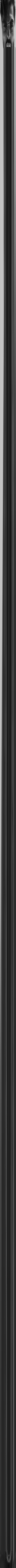 long giga.webp