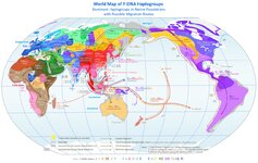 5d880465-6bb2-43fb-9da0-6cea7cd7b21f.jpeg