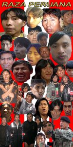 raza peruana.jpg
