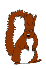 IMG_2630.png