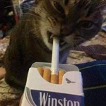 1746040119377.png