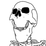 1745336395978.png