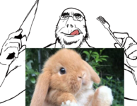 1746569671520.png