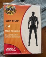 giga costume.jpg