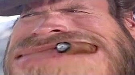 why the long face2.png