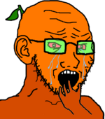 1693324582735.png