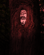 1680966746078.png