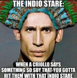 indiostare.jpeg