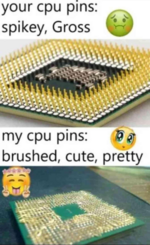 07096FDE-4418-4E9D-AE9C-E5AA4F1FC229.png