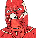 1747145386947.png