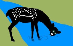 1280px-Drinking_doedoe.jpg