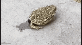 1000097021.gif