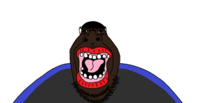 1747417623562.png