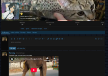 1747509327615.png
