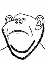 sadderswede.png