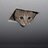CeilingCat