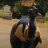 Namefag